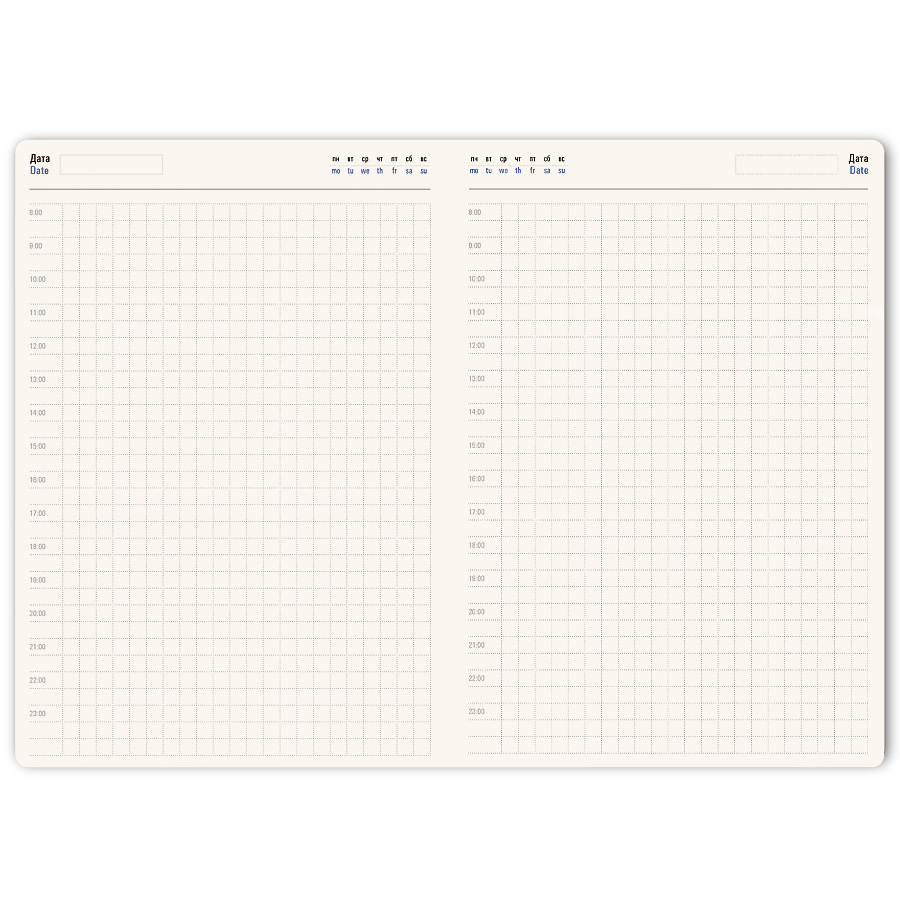 Ежедневник недатированный Ray, формат А5, в клетку