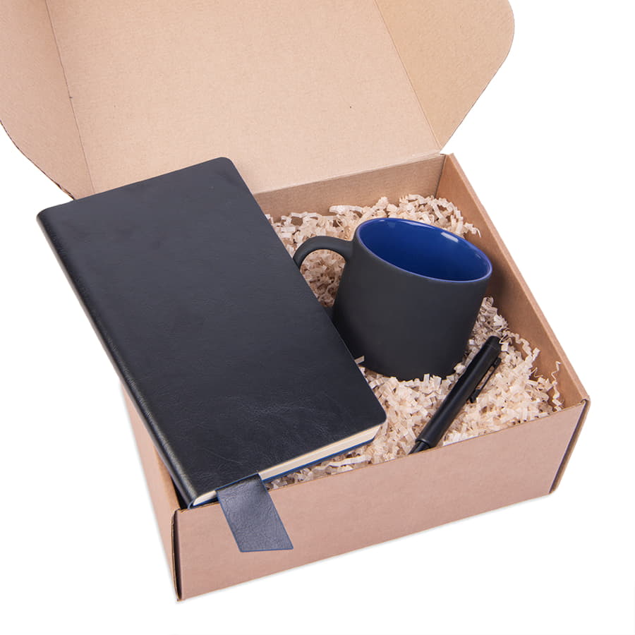 Подарочный набор DAILY COLOR: кружка, бизнес-блокнот, ручка с флешкой 4 ГБ, черный/синий