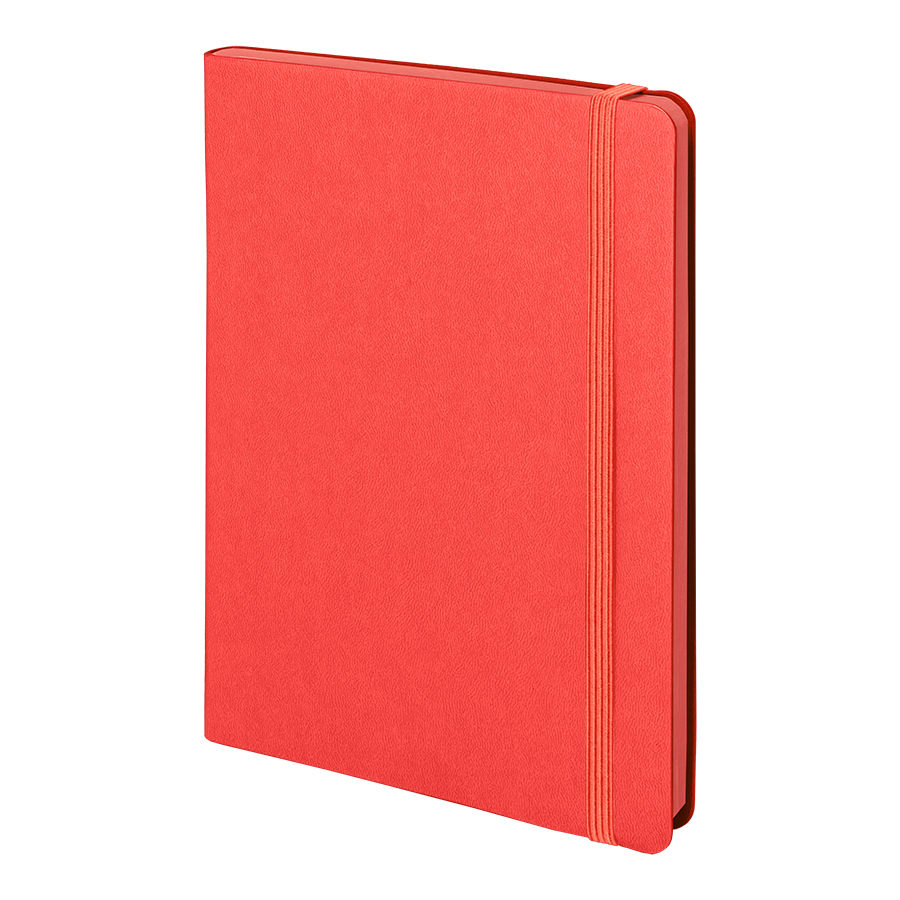 Бизнес-блокнот "RILY", формат А5,  красный, блок в точку