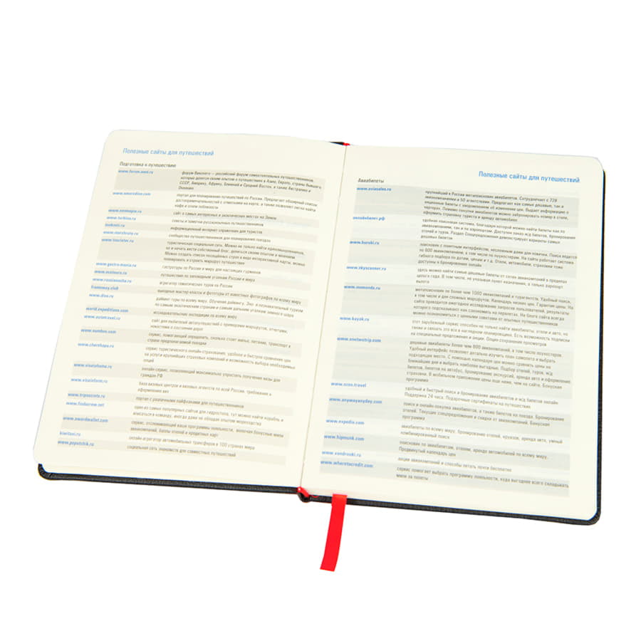 Ежедневник недатированный RAY, формат А5, в клетку