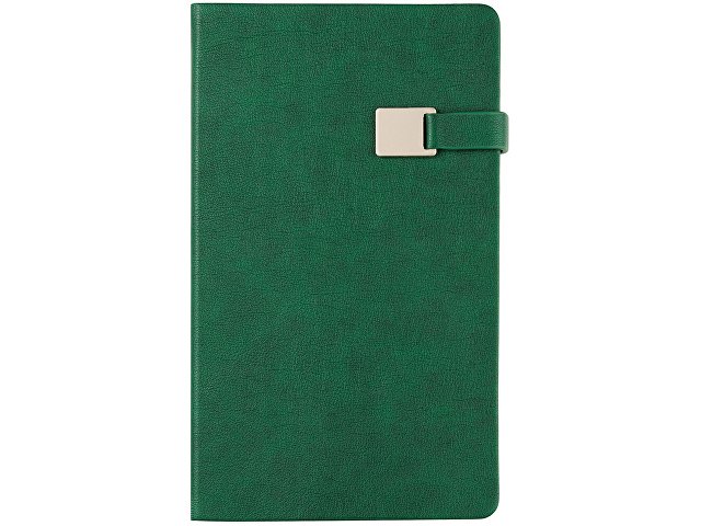 Ежедневник недатированный А5 «Premier»