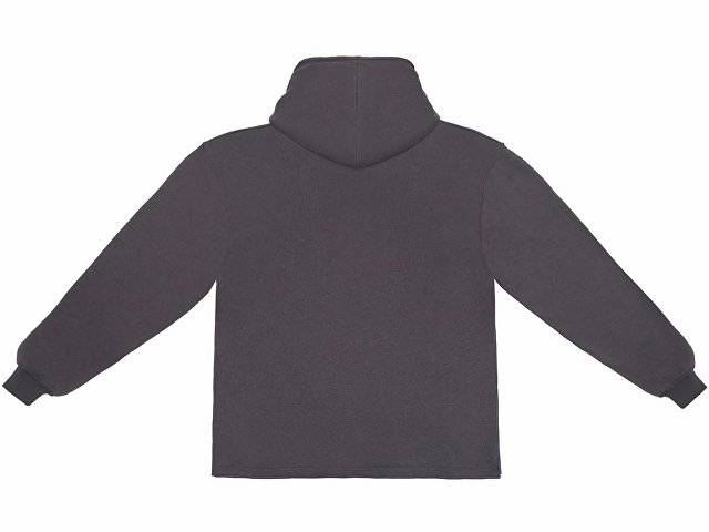 Худи оверсайз «Alpha.01» унисекс