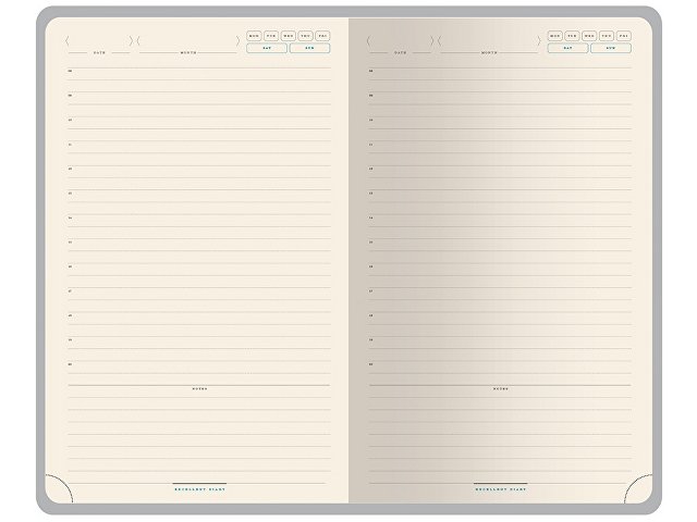 Ежедневник недатированный А5 «Premier»