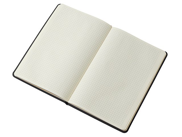Блокнот в твердой обложке A5 «Виспи» в клетку