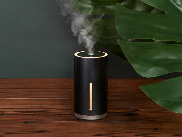 Портативный увлажнитель воздуха с функцией санитайзера «Clain»