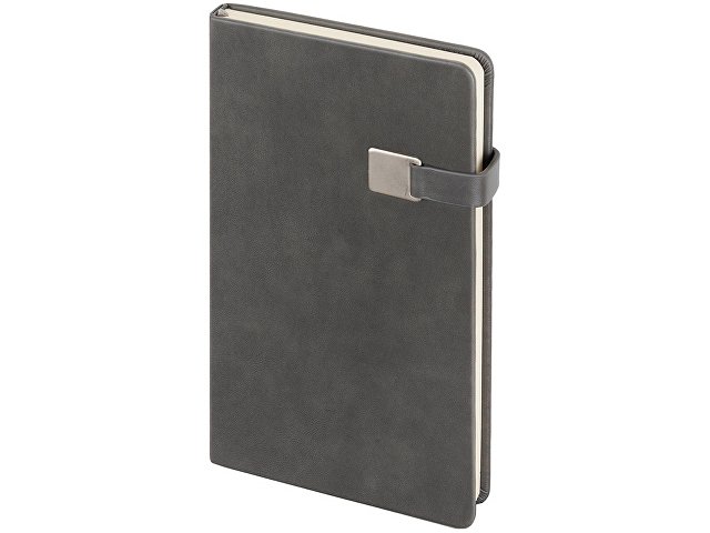 Ежедневник недатированный А5 «Premier»