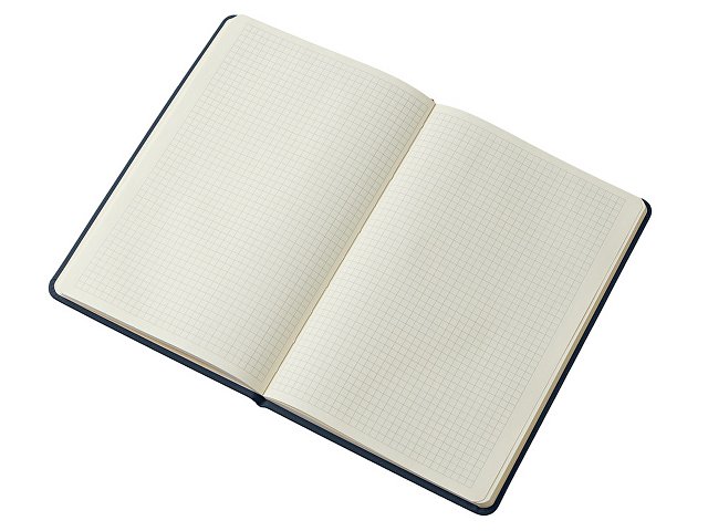 Блокнот в твердой обложке A5 «Виспи» в клетку