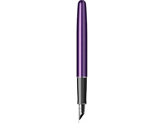 Ручка перьевая Parker «Sonnet Essentials Violet SB Steel CT»