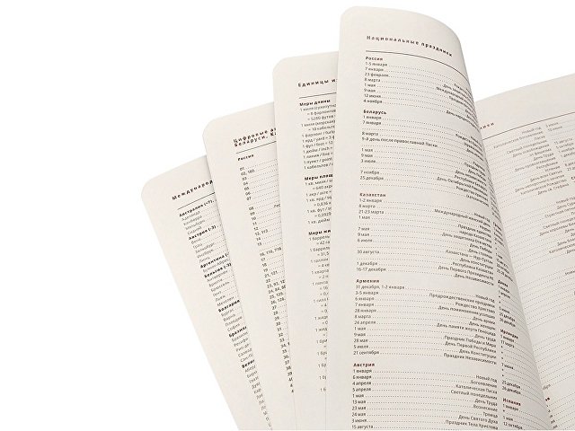 Ежедневник недатированный А5 «Parliament»