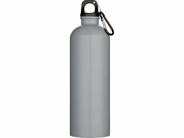Бутылка для воды с карабином «Орегон», нержавеющая сталь, 750 мл