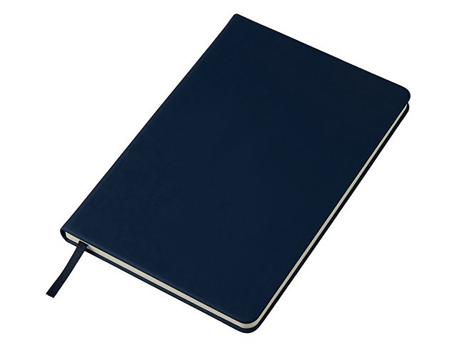 Бизнес-блокнот А5 «С3» soft-touch с магнитным держателем для ручки