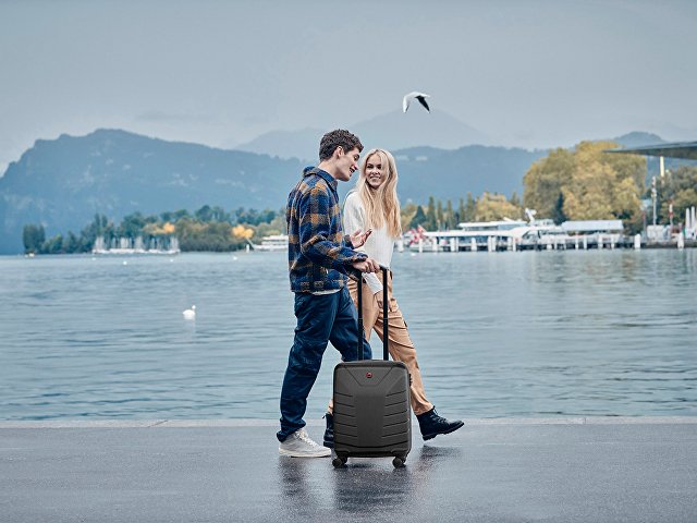 Чемодан «Pegasus», 99 л