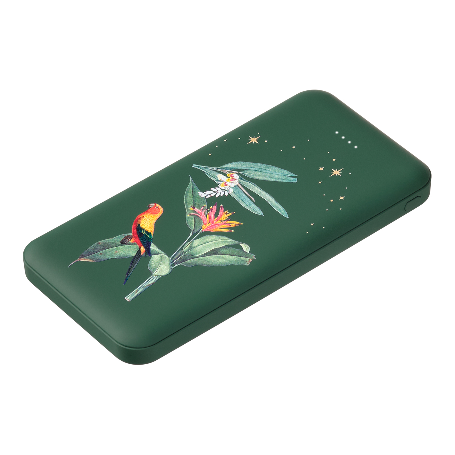 Внешний аккумулятор Elari Plus 10000 mAh, зеленый Paradise