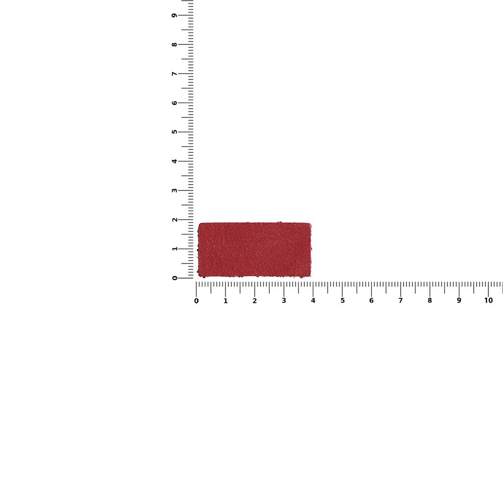 Лейбл кожаный Pasek, XS, красный