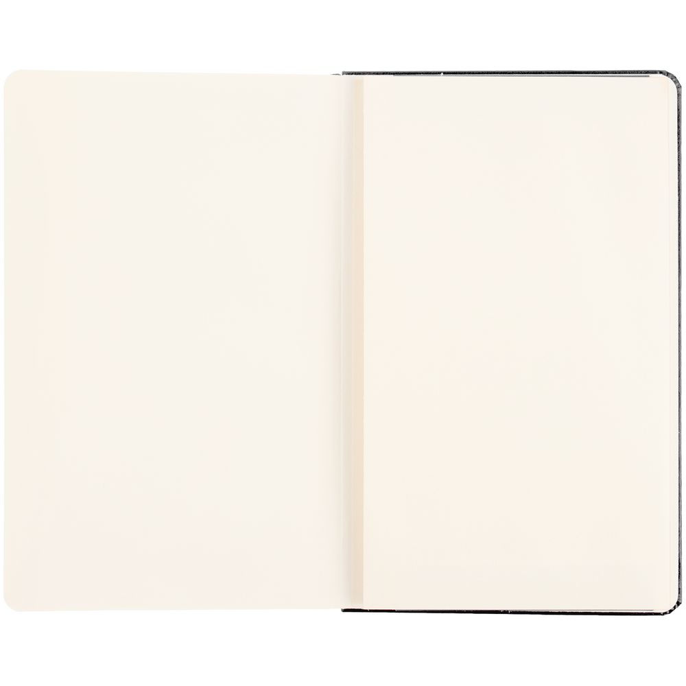 Записная книжка Moleskine Professional Large, черная