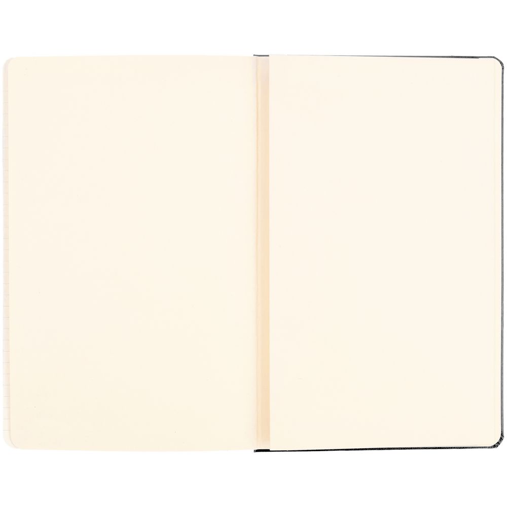 Записная книжка Moleskine Classic Large, в клетку, черная