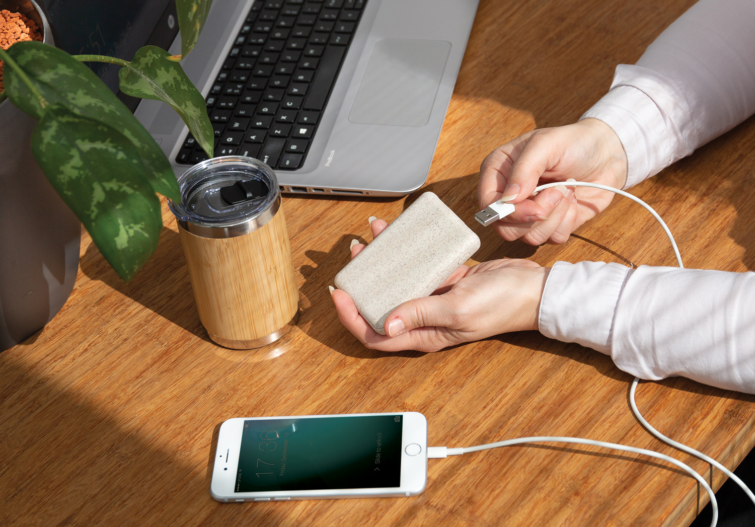 Карманный внешний аккумулятор Wheat Straw, 5000 mAh